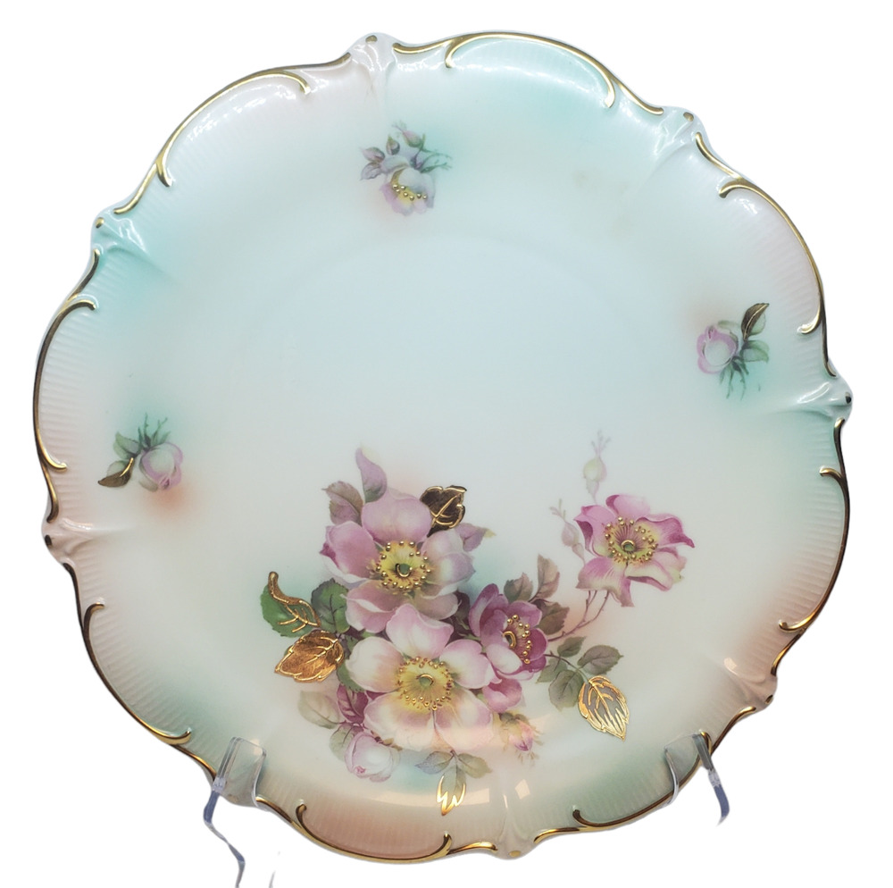 Schumann Arzberg Germany Bavaria Wild Rose Blush Dinner Plate 12"